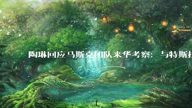 陶琳回应马斯克团队来华考察:与特斯拉无关,或涉SpaceX项目_合作_产业链_摸底